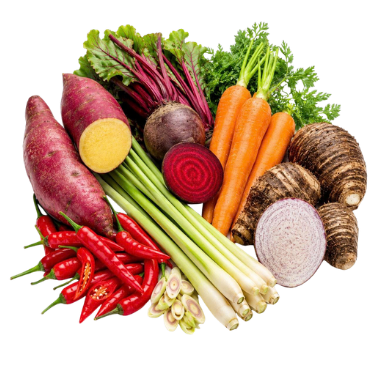 FRESH VEGETABLES