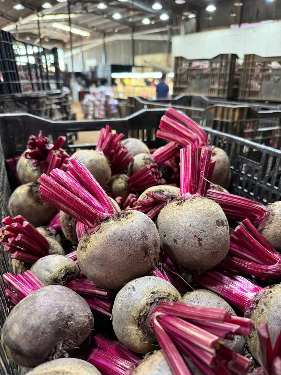 BEETROOT