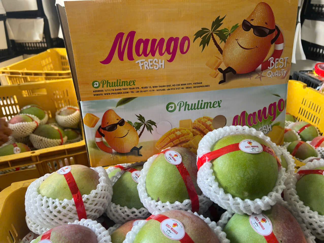 R2E2 MANGO