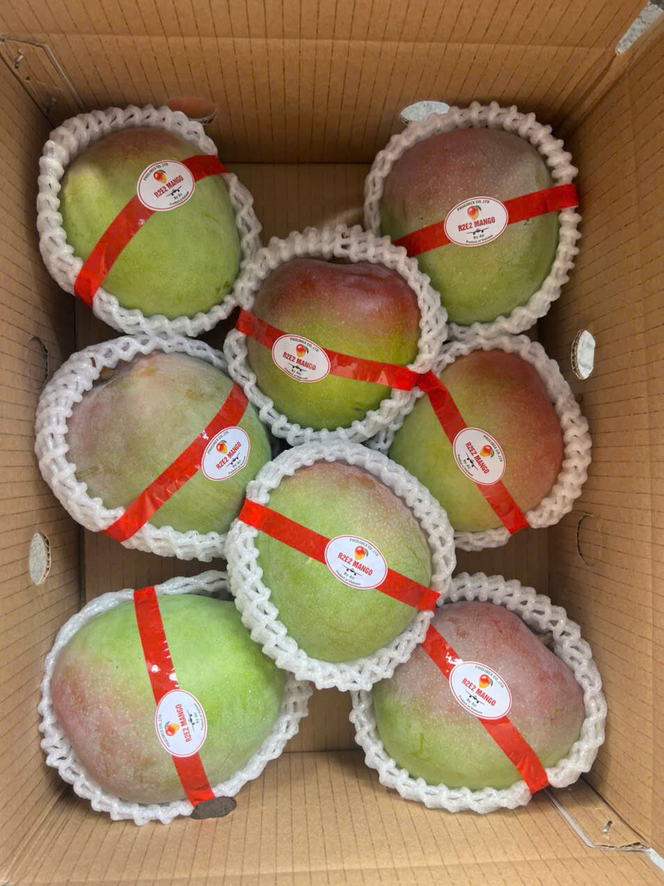 R2E2 MANGO