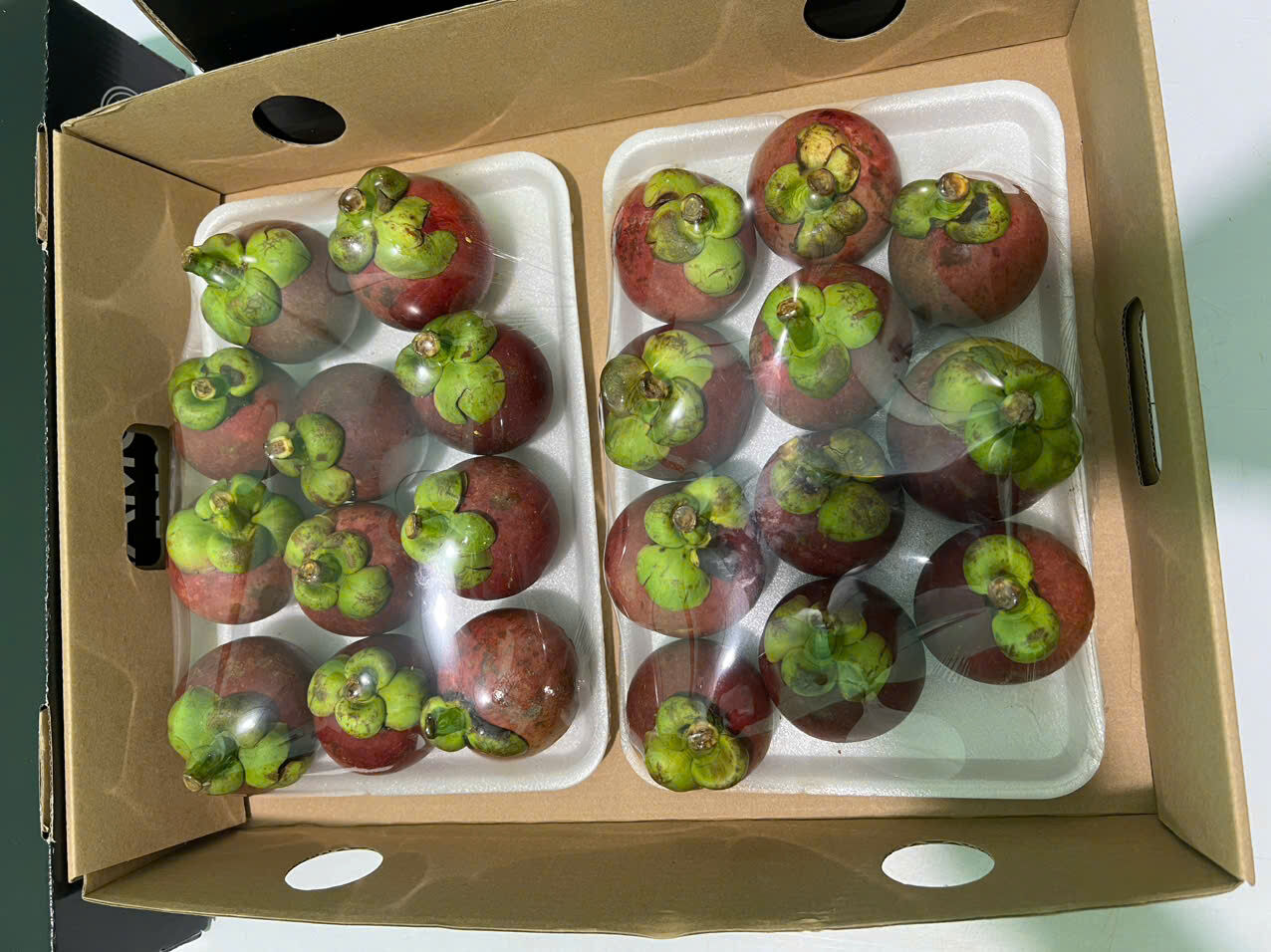 MANGOSTEEN