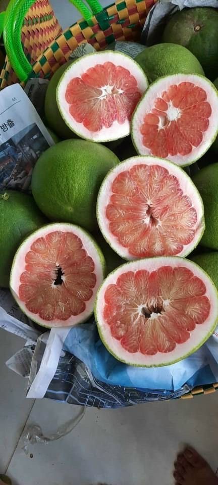 POMELO