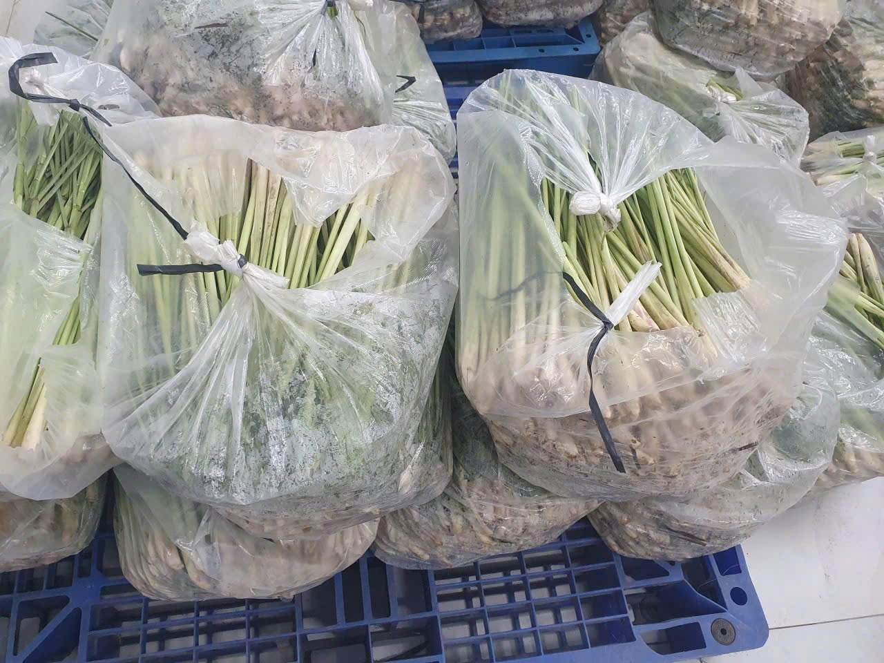 LEMONGRASS