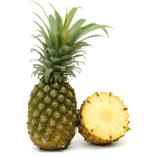 PINEAPPLE MD2