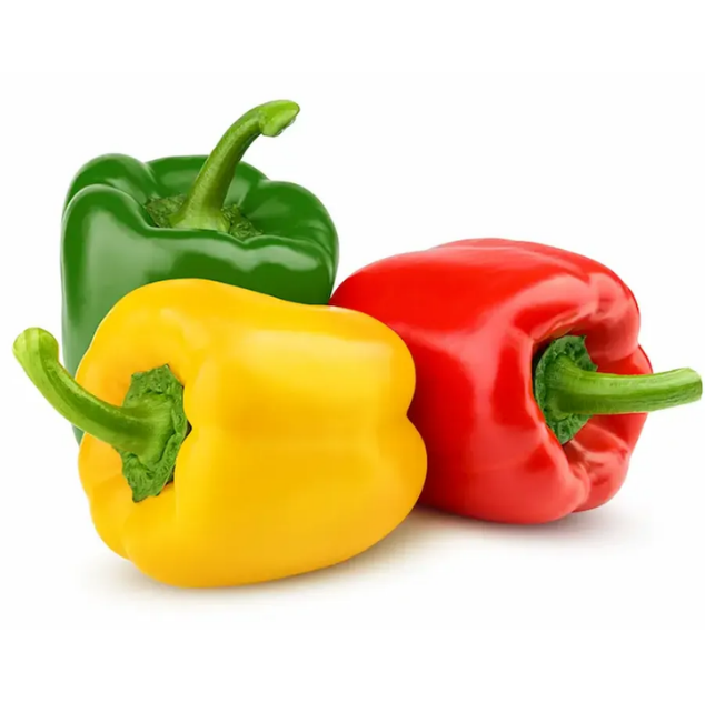 CAPSICUM