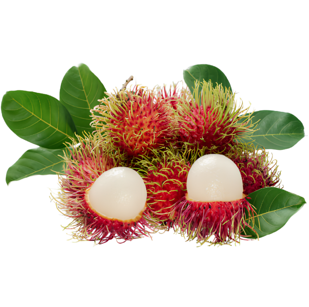 RAMBUTAN