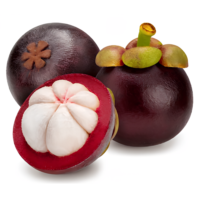 MANGOSTEEN