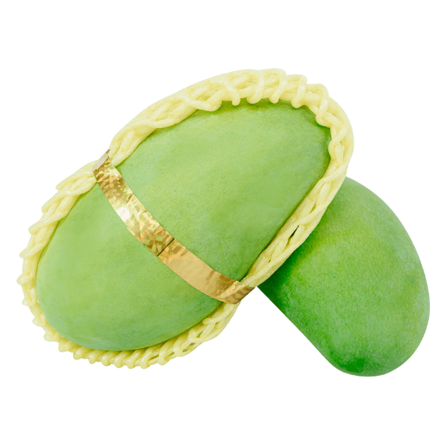 ELEPHANT MANGO
