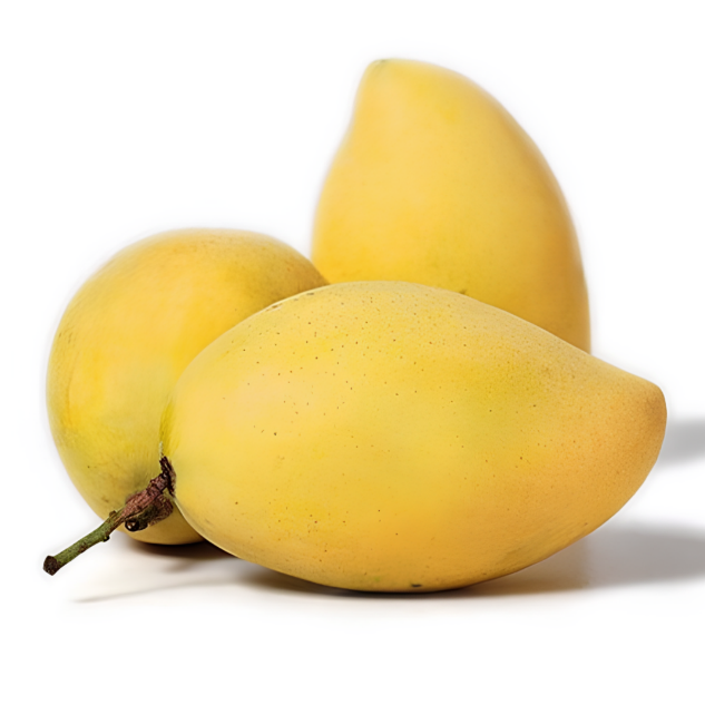 CAT CHU MANGO