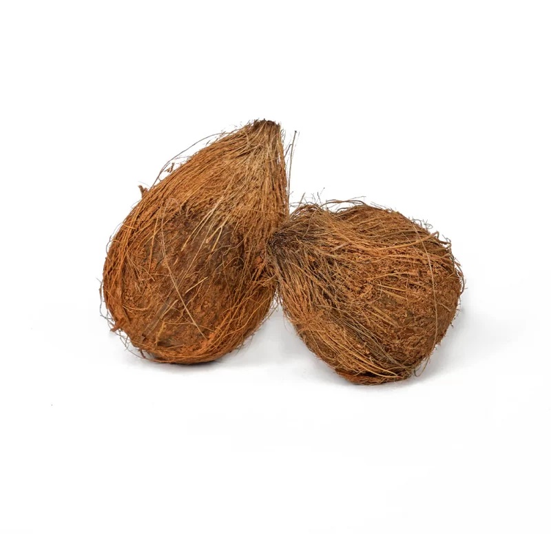 SEMI HUSKED COCONUT