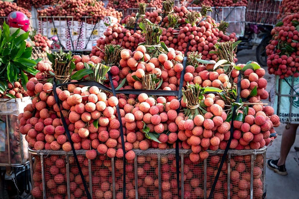 LYCHEE