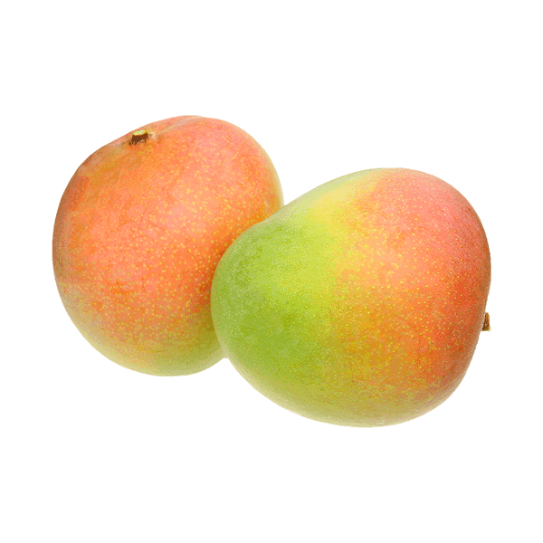 R2E2 MANGO