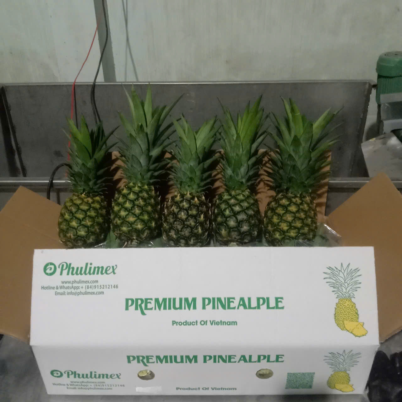 PINEAPPLE MD2