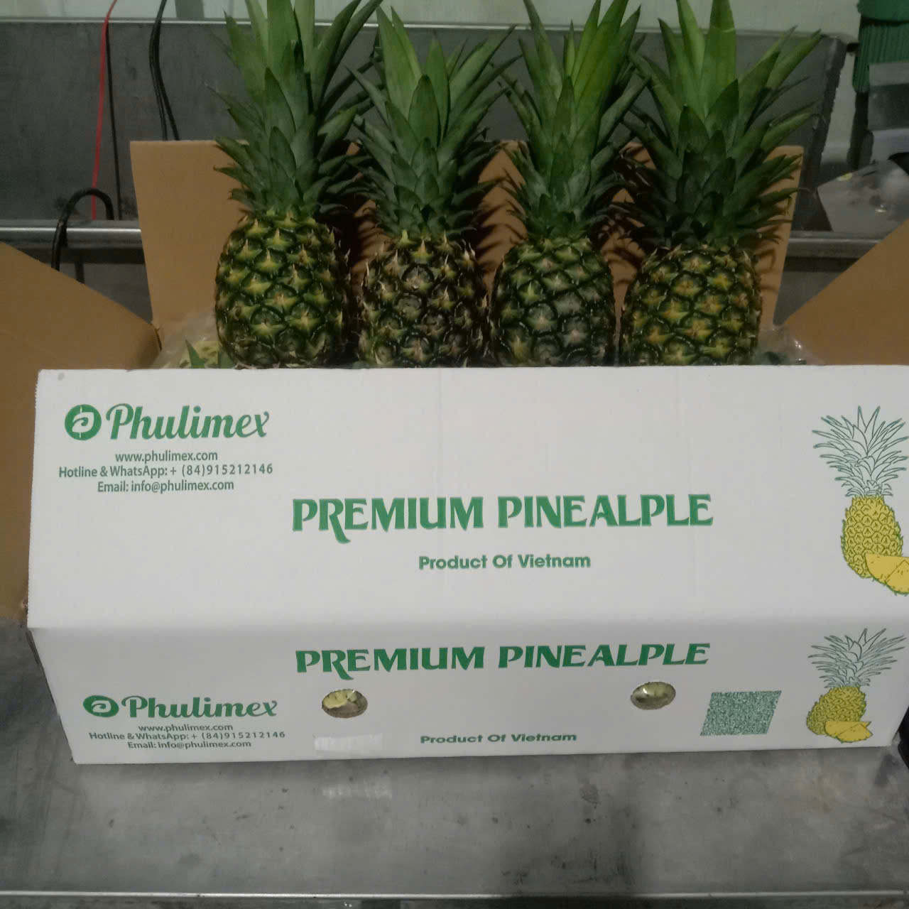 PINEAPPLE MD2