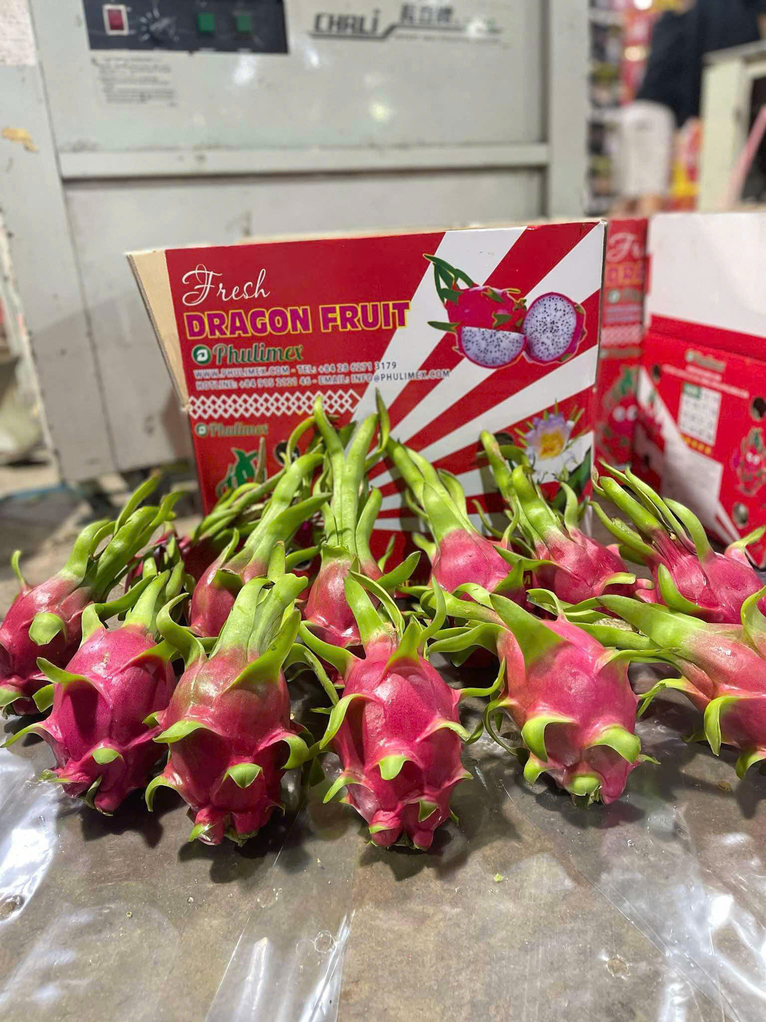 DRAGON FRUIT