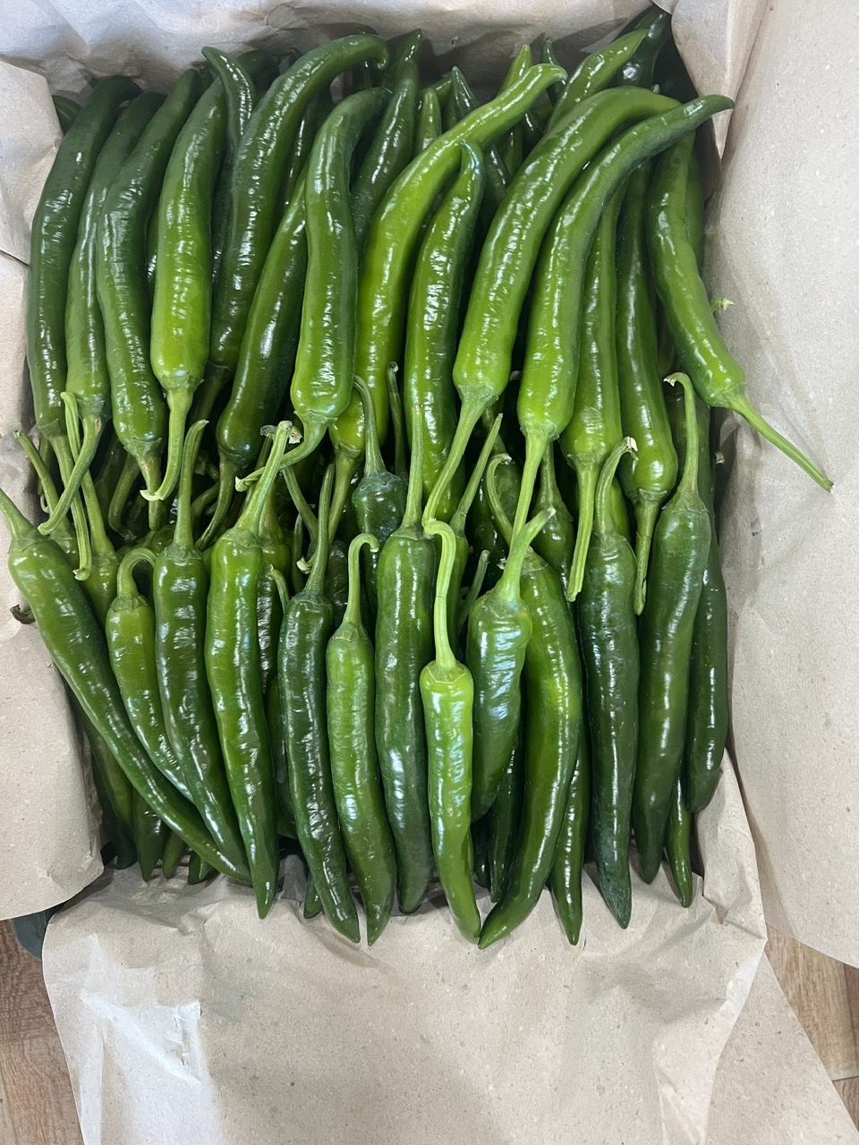 CHILI