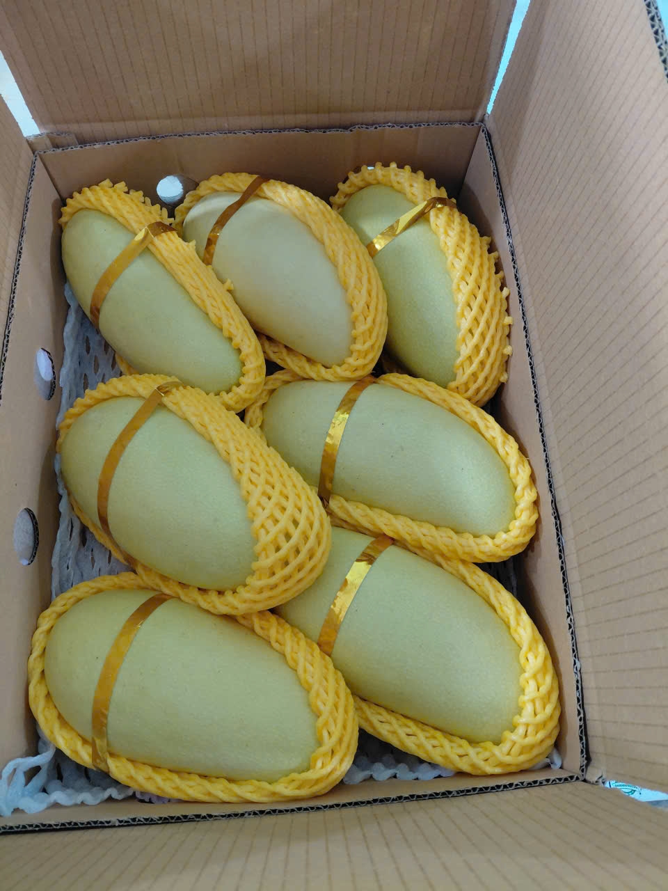 ELEPHANT MANGO