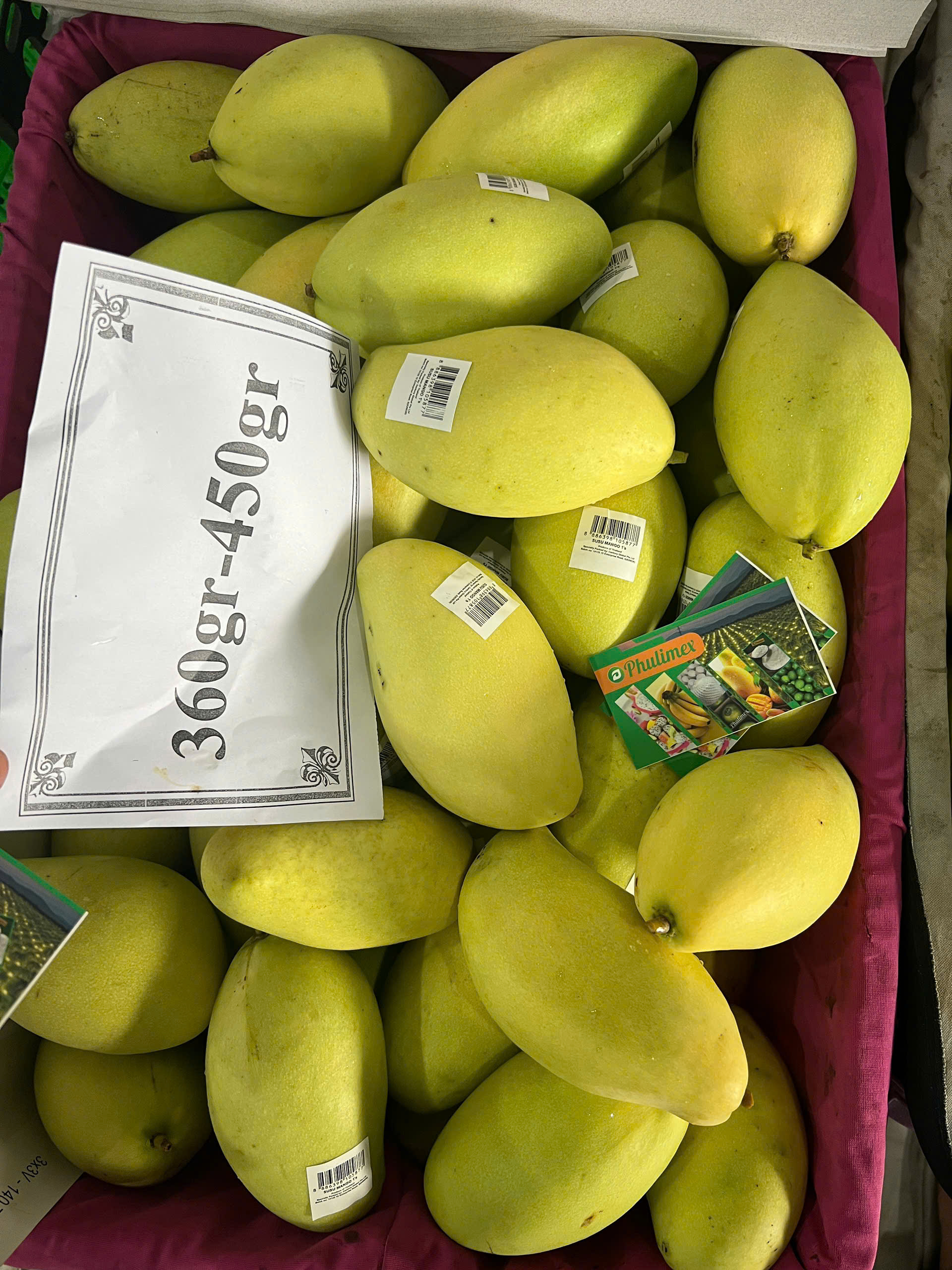 SUSU MANGO 